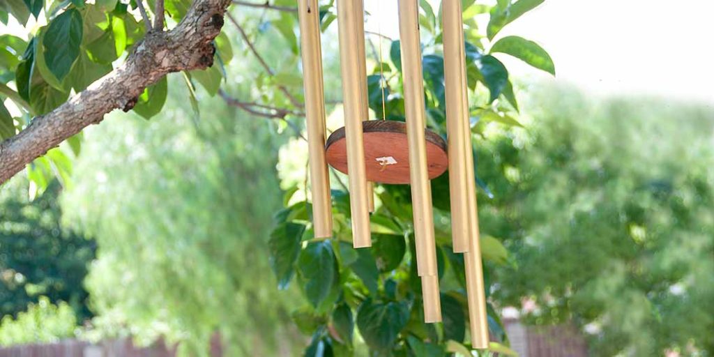 How to Remove Algae From an Outdoor Rug Procedure!)