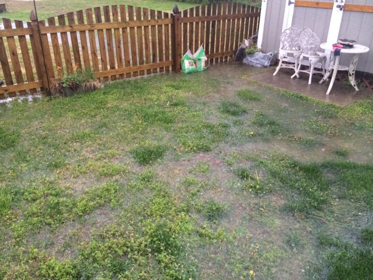 How To Fix Flooding In Backyard: Best Tips And Hacks