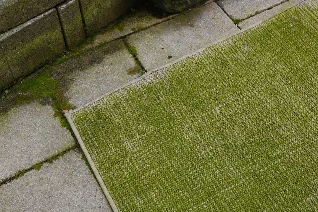 Green algae growth on the corner of an outdoor rug in a damp shaded patio