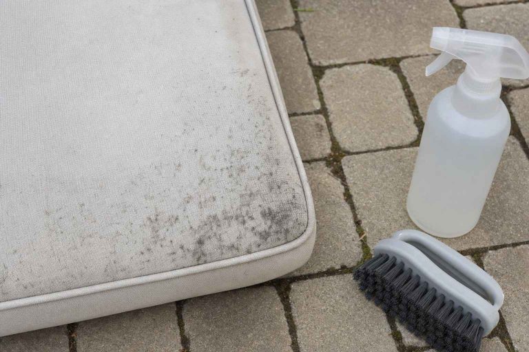 Mildew spots on a patio cushion beside a scrub brush and spray bottle