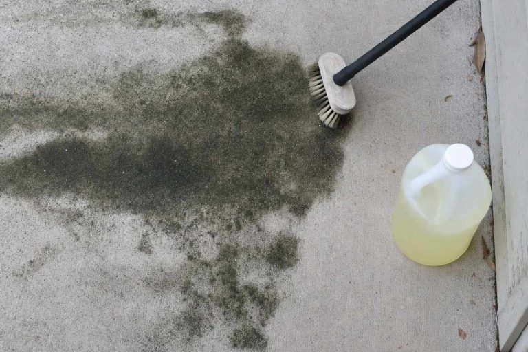 Dark mold patches on a concrete patio slab beside a stiff scrub brush