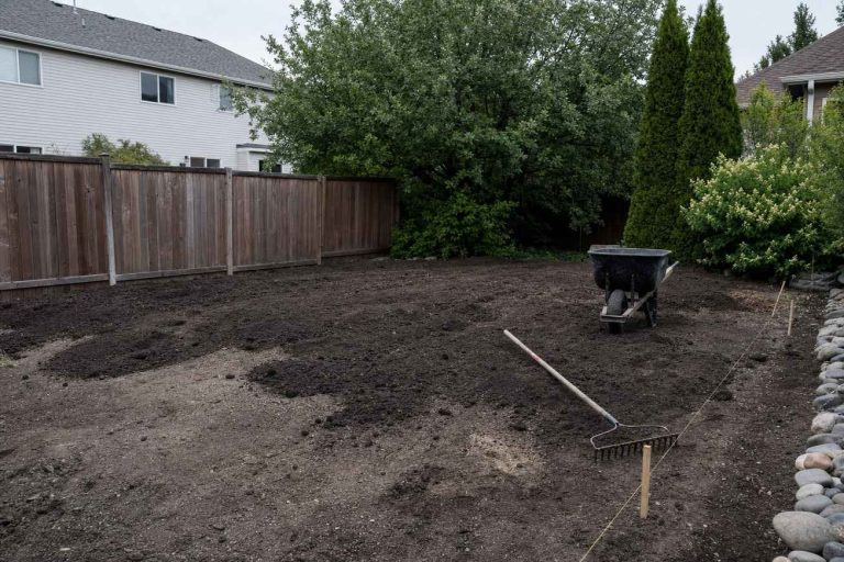 A torn-up backyard lawn being leveled with topsoil piles, a rake and a wheelbarrow